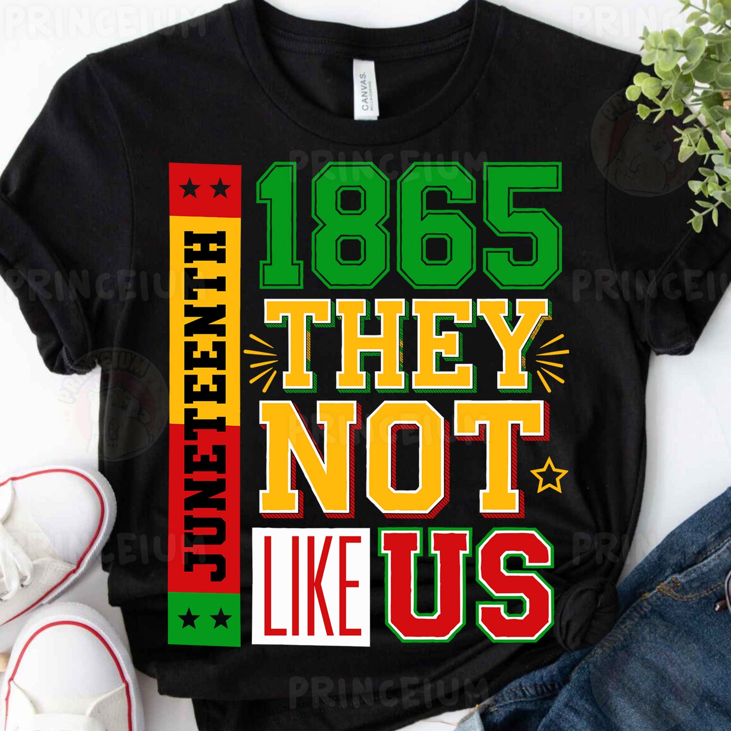 a t - shirt with the words 1965 they not like us