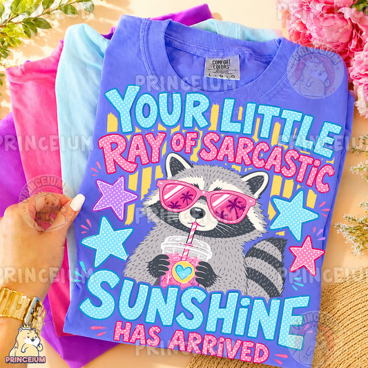 Your Little Ray of Sarcastic Sunshine Sublimation Design PNG Raccoon Digital Download NEW26