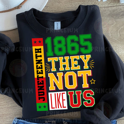 a t - shirt that says, 1965 they not like us
