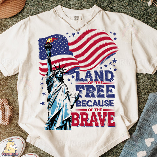 a t - shirt with the statue of liberty on it